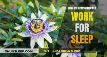 Passionflower's Sleepy Magic: How Does It Work?