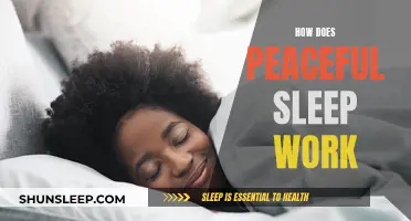 Sleep Peacefully: Understanding the Science of Restful Slumber