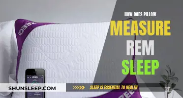 Measuring REM Sleep: Pillow's Role and Relevance