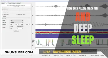 Pillow's REM Deep Sleep Tracking: How Does It Work?