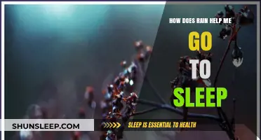 Rain's Soothing Symphony: How Nature's Lullaby Enhances Sleep Quality
