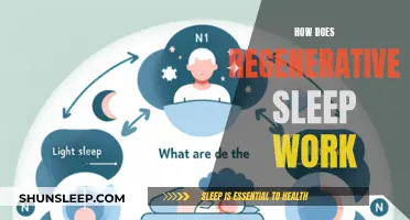 Regenerative Sleep: The Science of Restorative Slumber