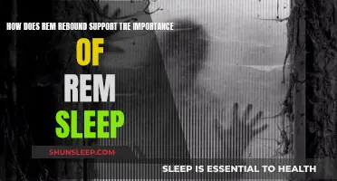 Understanding REM Rebound: Why REM Sleep Matters