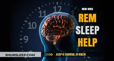 Unlocking Dreams: How REM Sleep Boosts Brain Health and Memory