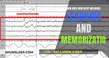 REM Sleep: Learning and Memory Consolidation