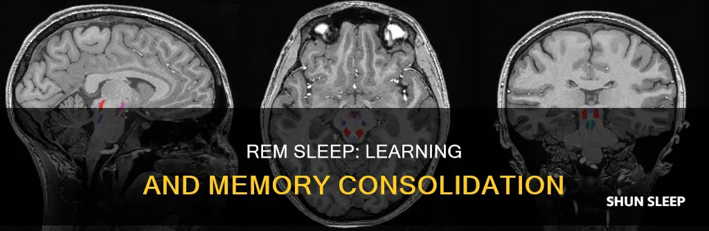 how does rem sleep influence learning and memorization