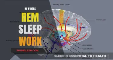 Understanding REM Sleep: The Science Behind Our Dreams