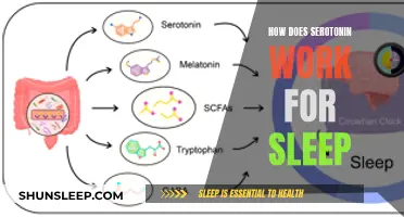 Serotonin's Role in Sleep: Understanding the Science