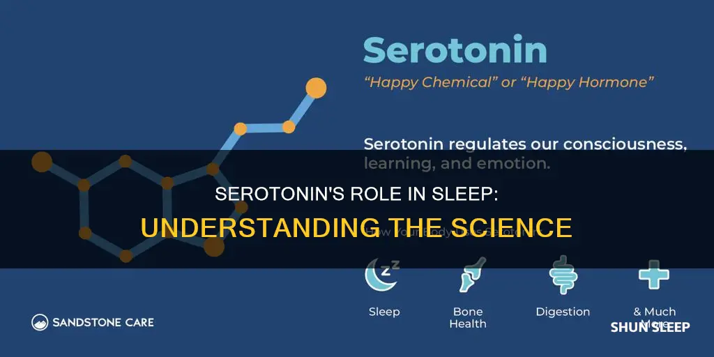 how does serotonin work for sleep