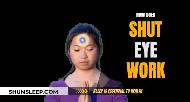 Understanding Shut-Eye: Science Behind the Sleep
