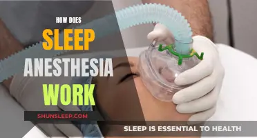 Sleep Anesthesia: Understanding the Science of Sleep Induction
