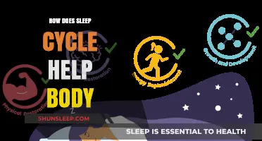 Unlocking Wellness: How Sleep Cycles Restore and Rejuvenate Your Body