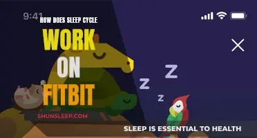 Understanding Sleep Cycles with Fitbit: A Guide