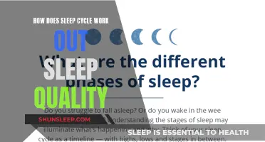 Sleep Cycle's Impact: Understanding Your Sleep Quality