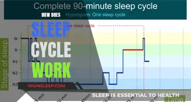 Understanding Sleep Cycles: The Science of Sleep Phases