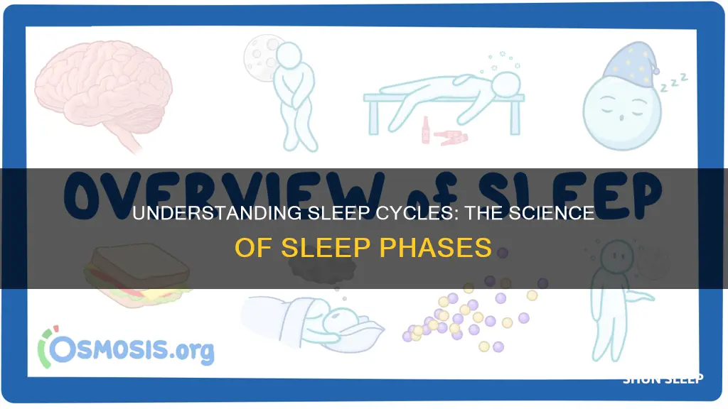 how does sleep cycle work