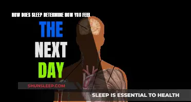 Sleep's Impact: How It Dictates Your Tomorrow