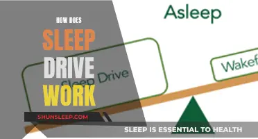Understanding Sleep Drive: What Makes Us Sleep?