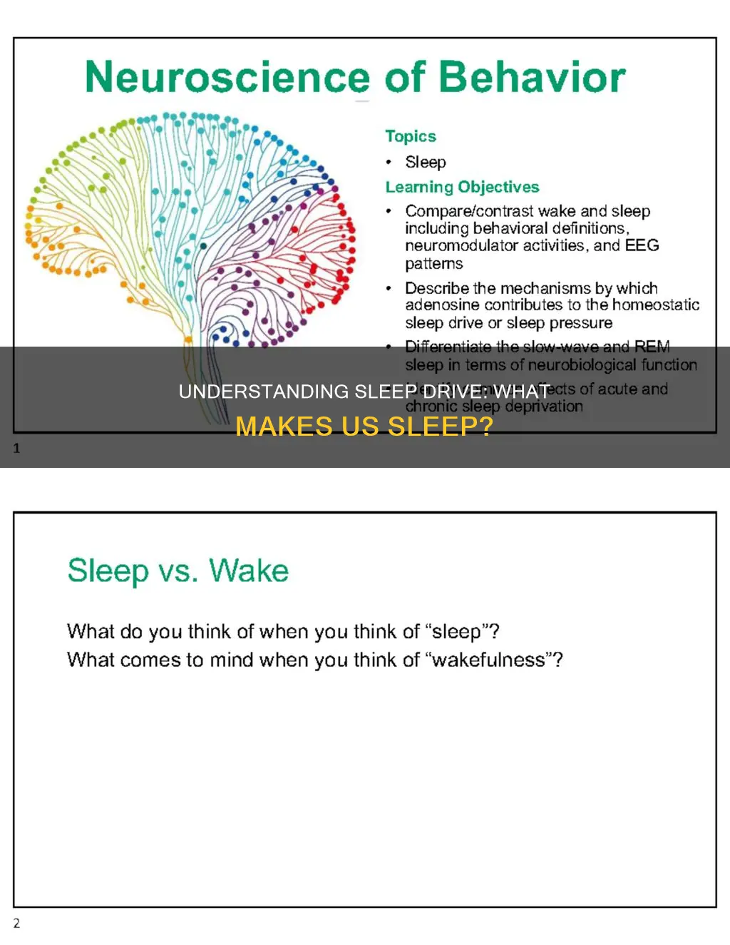 how does sleep drive work