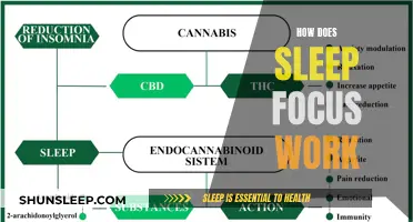 Sleep Focus: Understanding the Science of Sleep