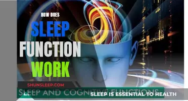 Understanding Sleep Functions: A Guide to Sleep Science