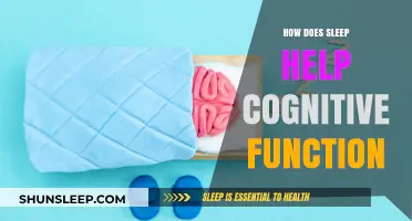 Sleep's Power: Boosting Memory, Focus, and Cognitive Performance Naturally