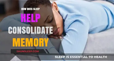 Sleep's Role in Strengthening Memory: Unlocking the Science of Recall