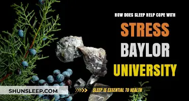 Sleep and Stress Relief: Baylor University's Insights on Coping Mechanisms