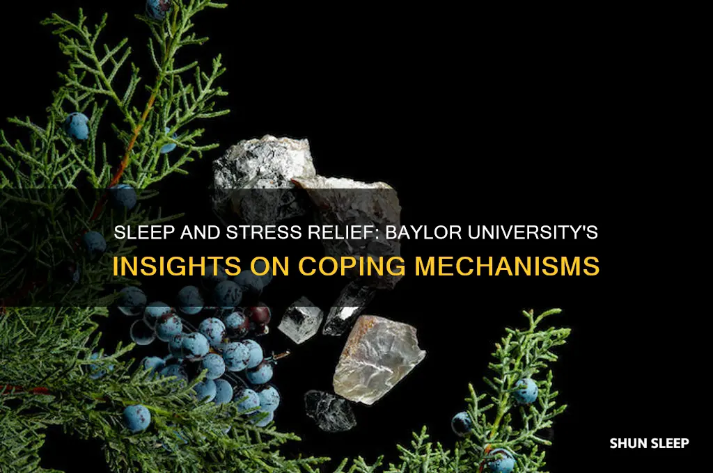 how does sleep help cope with stress baylor university