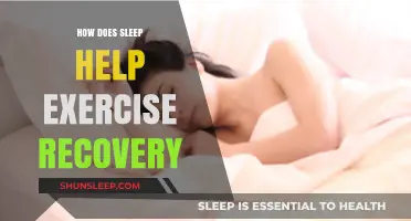 Sleep's Role in Muscle Repair and Exercise Recovery Optimization