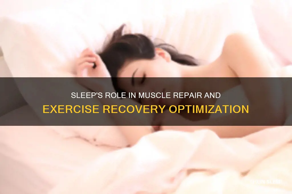 how does sleep help exercise recovery
