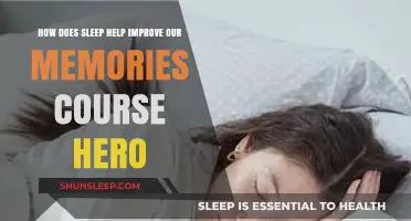 Sleep's Power: Enhancing Memory Retention and Recall for Course Hero Success