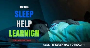 Sleep's Role in Enhancing Memory, Focus, and Learning Efficiency