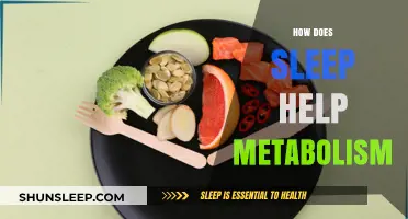 Sleep's Surprising Role in Boosting Metabolism and Burning Fat