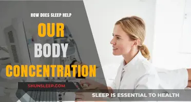 Sleep's Power: Boosting Focus, Memory, and Productivity Naturally