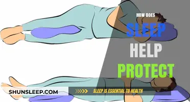 Sleep's Shield: How Rest Protects Your Brain and Body