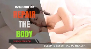 Sleep's Healing Power: How Rest Repairs and Rejuvenates Your Body