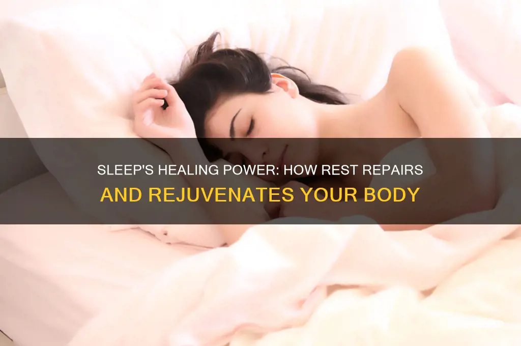 how does sleep help repair the body
