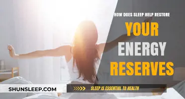 Sleep's Power: Restoring Energy Reserves for Optimal Daily Performance