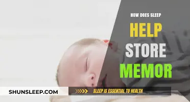 Sleep's Role in Memory Storage: Unlocking the Brain's Archive