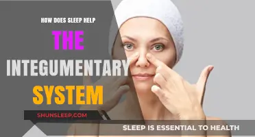 Sleep's Role in Skin Health: Boosting the Integumentary System