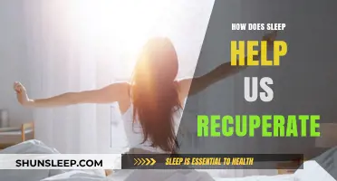 Sleep's Healing Power: How Rest Recovers Body and Mind