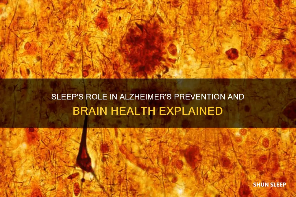 how does sleep help with alzheimer