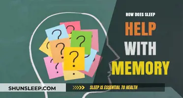 Sleep's Role in Memory: Enhancing Recall and Brain Function