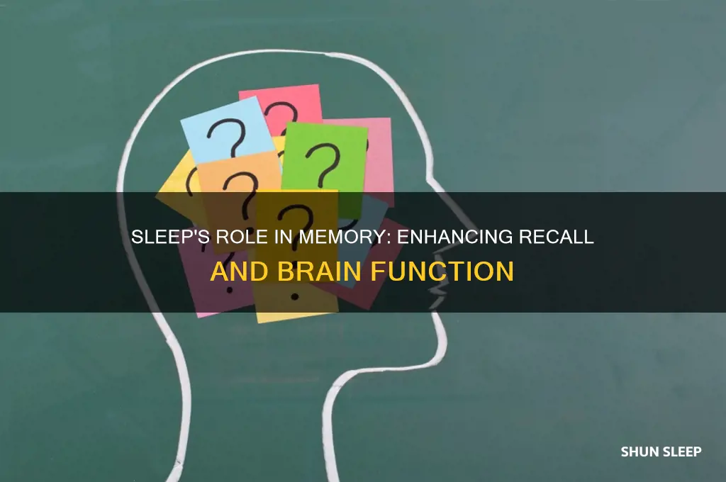 how does sleep help with memory