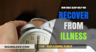 Sleep’s Healing Power: How Rest Speeds Up Illness Recovery