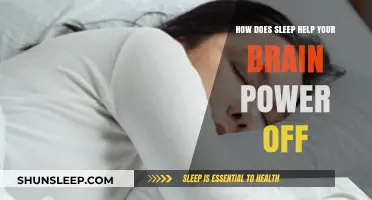 Sleep's Role in Brain Recovery: Powering Down for Peak Performance