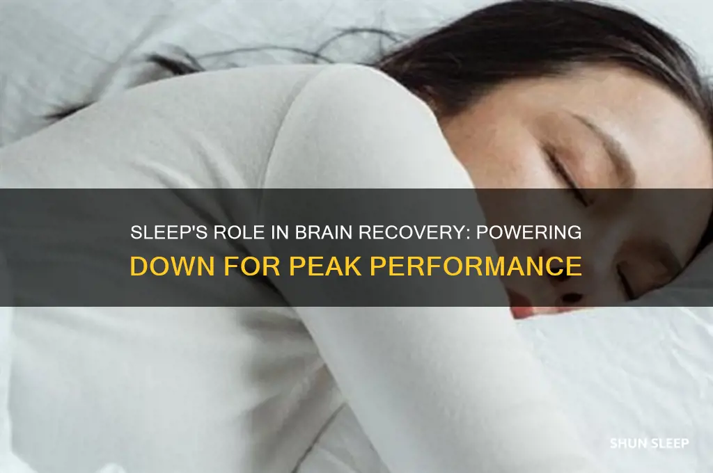 how does sleep help your brain power off