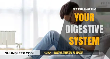 Sleep and Digestion: Unlocking the Gut-Rest Connection for Better Health
