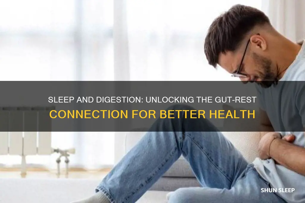 how does sleep help your digestive system